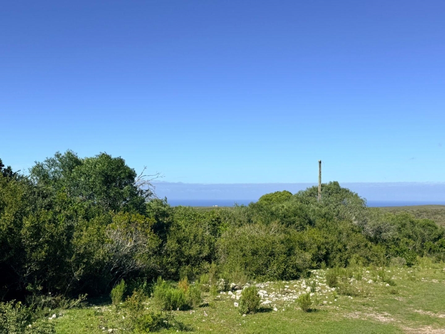 0 Bedroom Property for Sale in Riversdale Rural Western Cape
